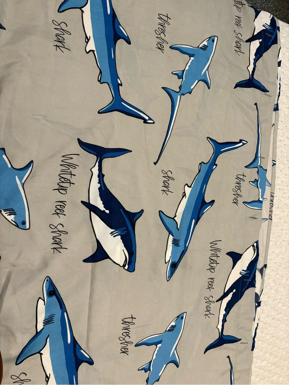 Shark Bathroom Rug and Curtain